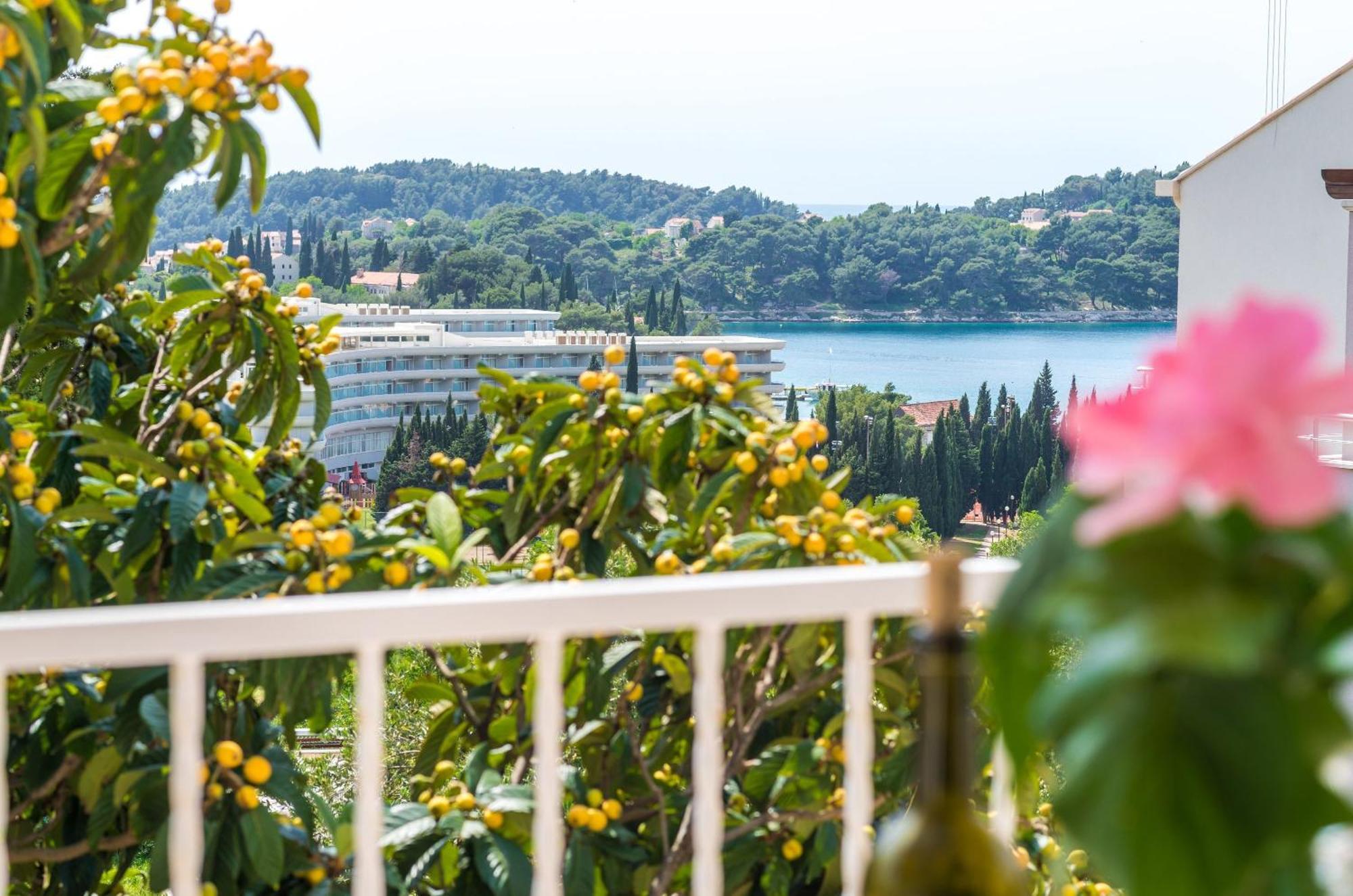 Villa Bind Cavtat Pokoj fotografie